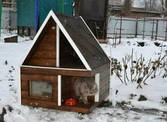 Как утеплить будку для кошки на зиму?