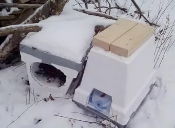 Как утеплить будку для кошки на зиму?
