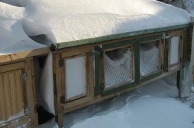 Как утеплить клетку для кроликов на зиму?