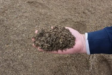 Обогащенный песок что это такое?
