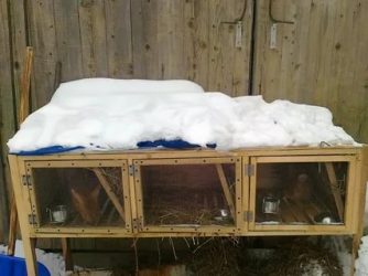 Как утеплить клетку для кроликов на зиму?